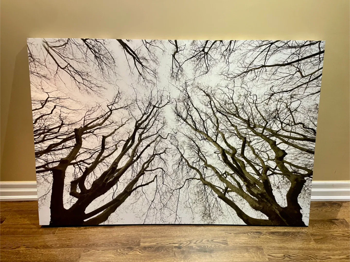 60”x40” Large Canvas Print thumbnail