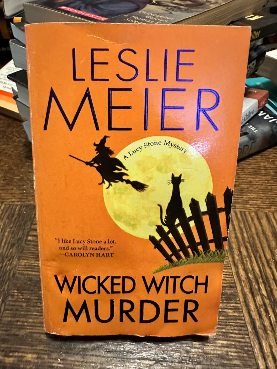 Wicked Witch Murder by Leslie Meier thumbnail