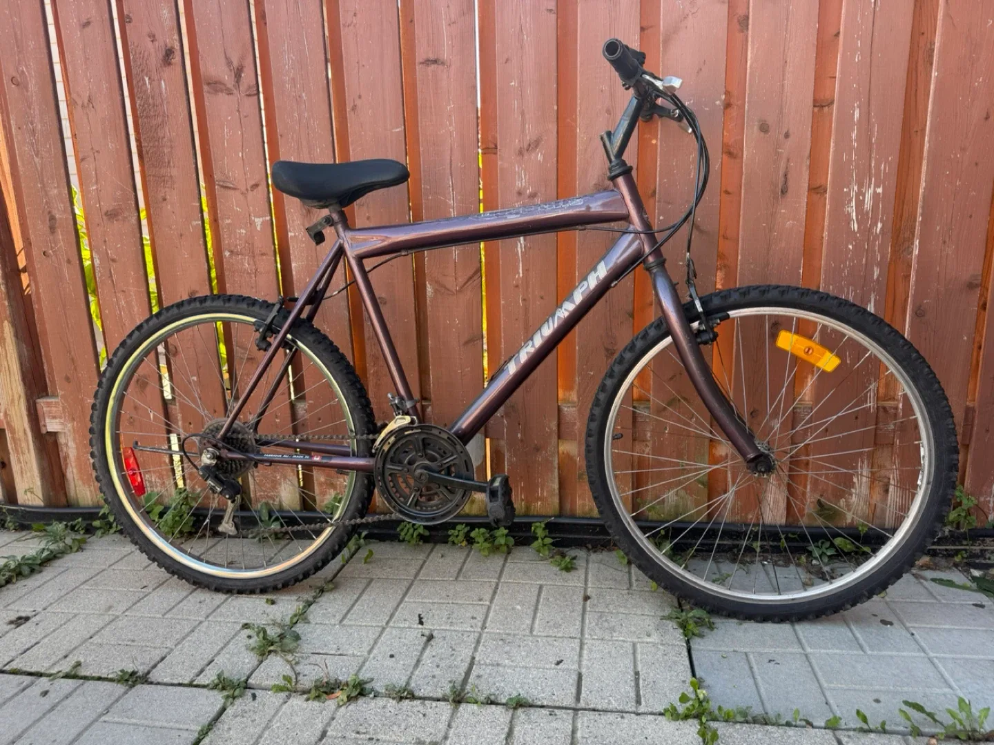 Triumph Mountain Bike image indicator(2)