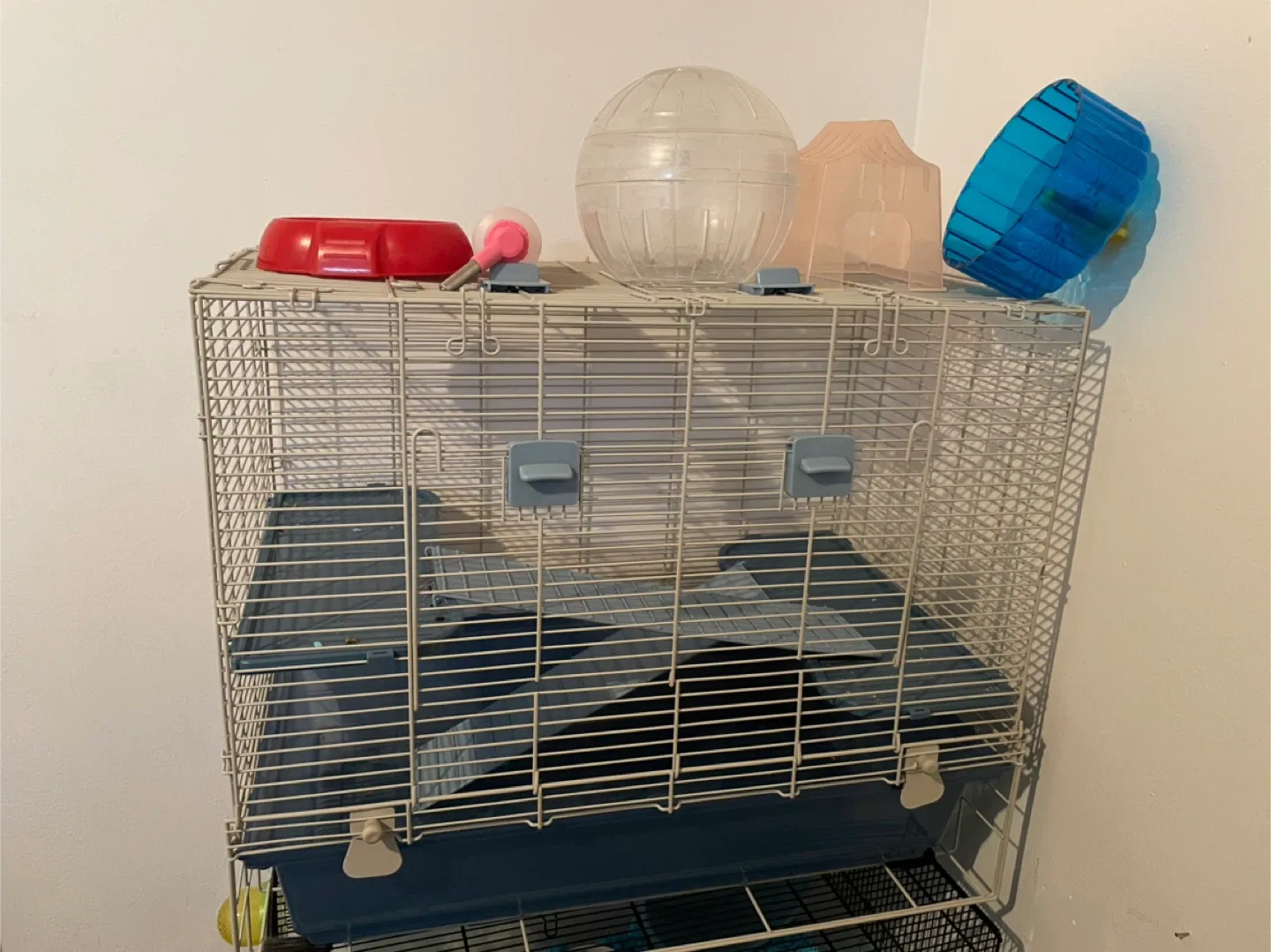 Hamster Cage Setup thumbnail