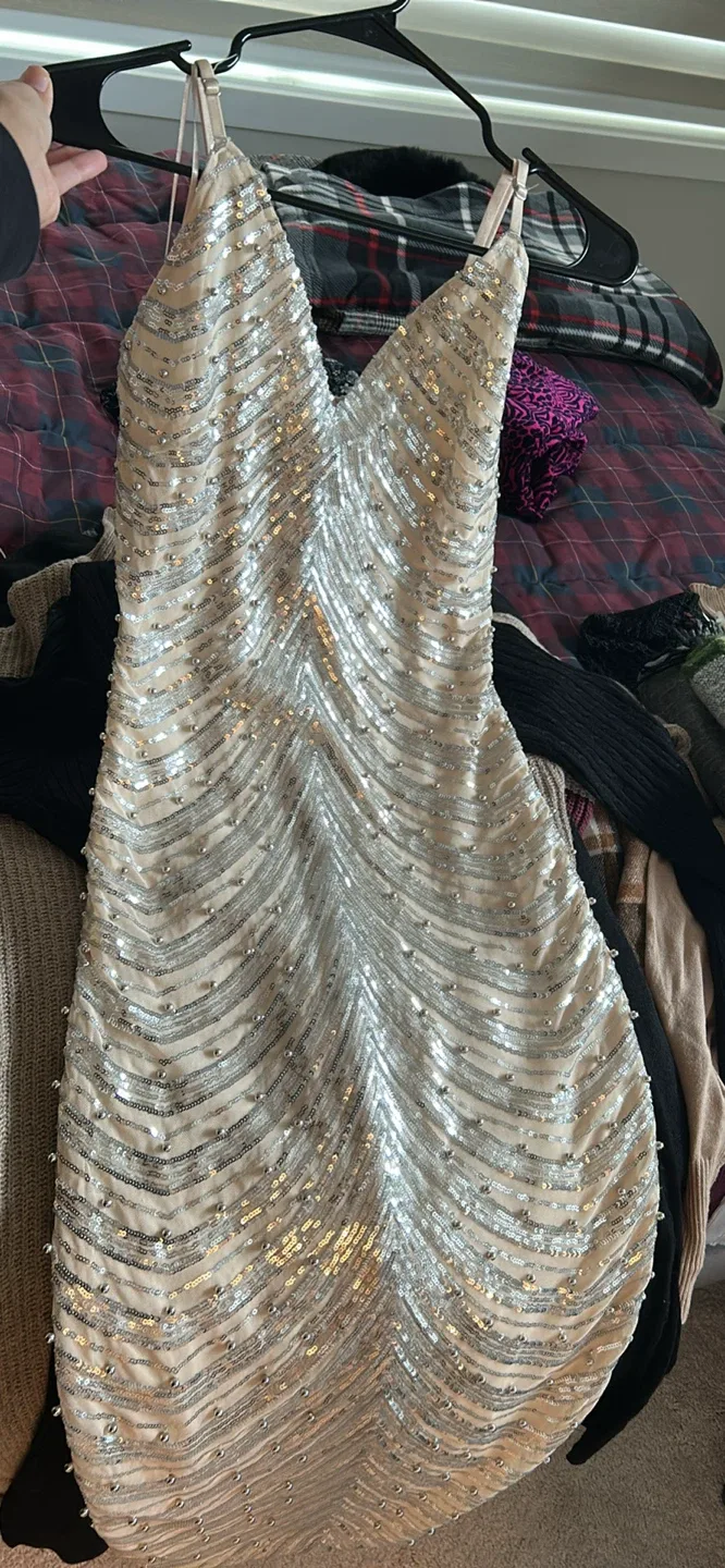 Sequin Embellished Dress