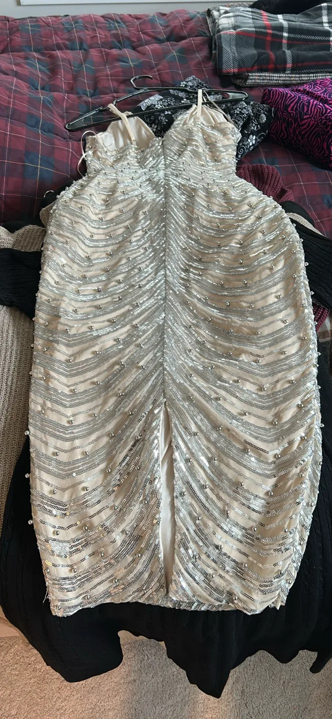 Sequin Embellished Dress image indicator(2)