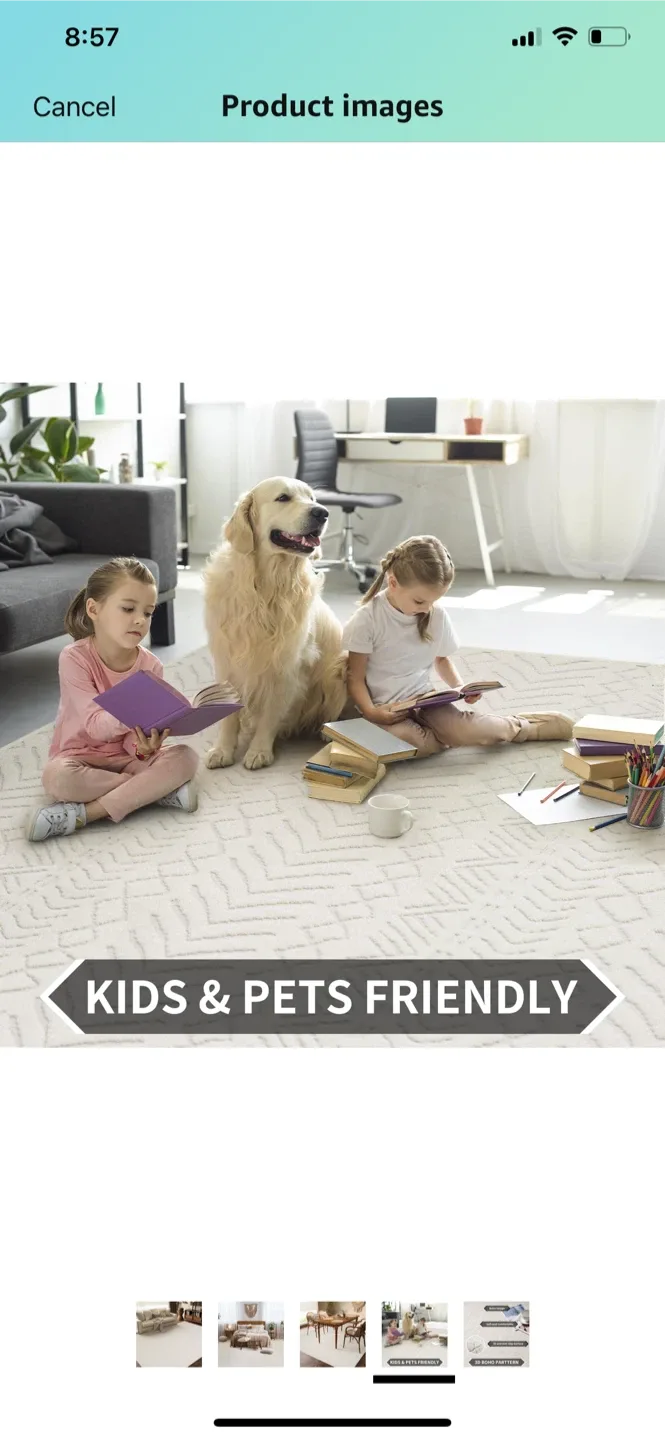 Area Rug 9x12 image indicator(6)