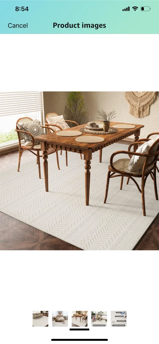 Area Rug 9x12 image indicator(3)