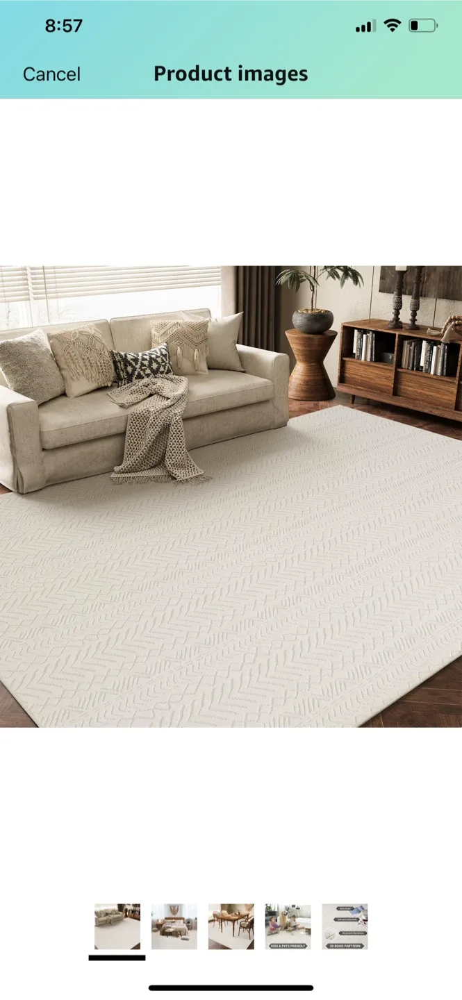 Area Rug 9x12 image indicator(4)