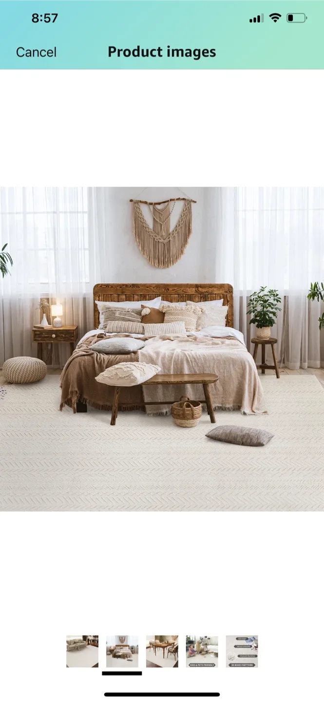 Area Rug 9x12 image indicator(5)