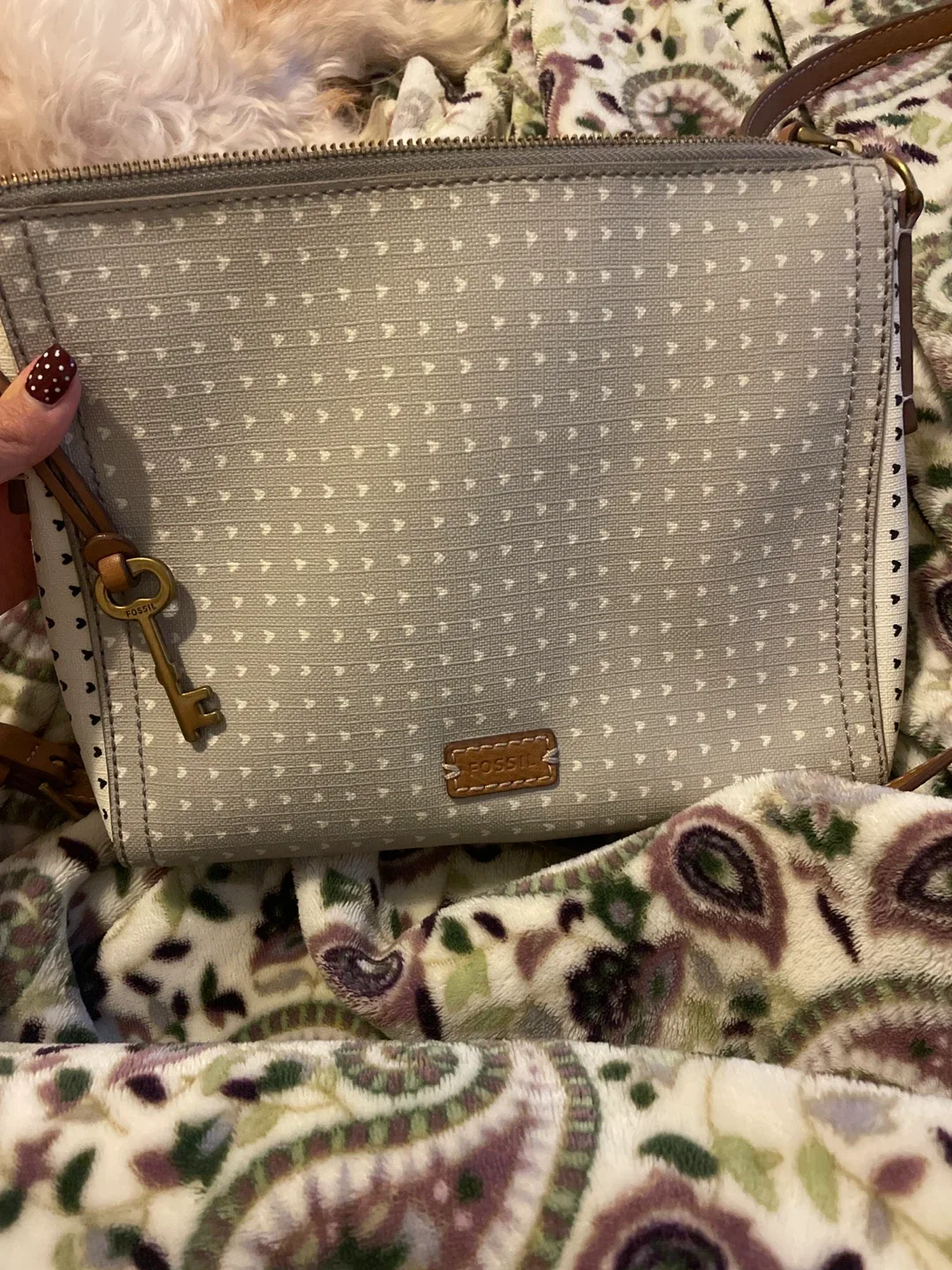 Fossil Crossbody Purse thumbnail