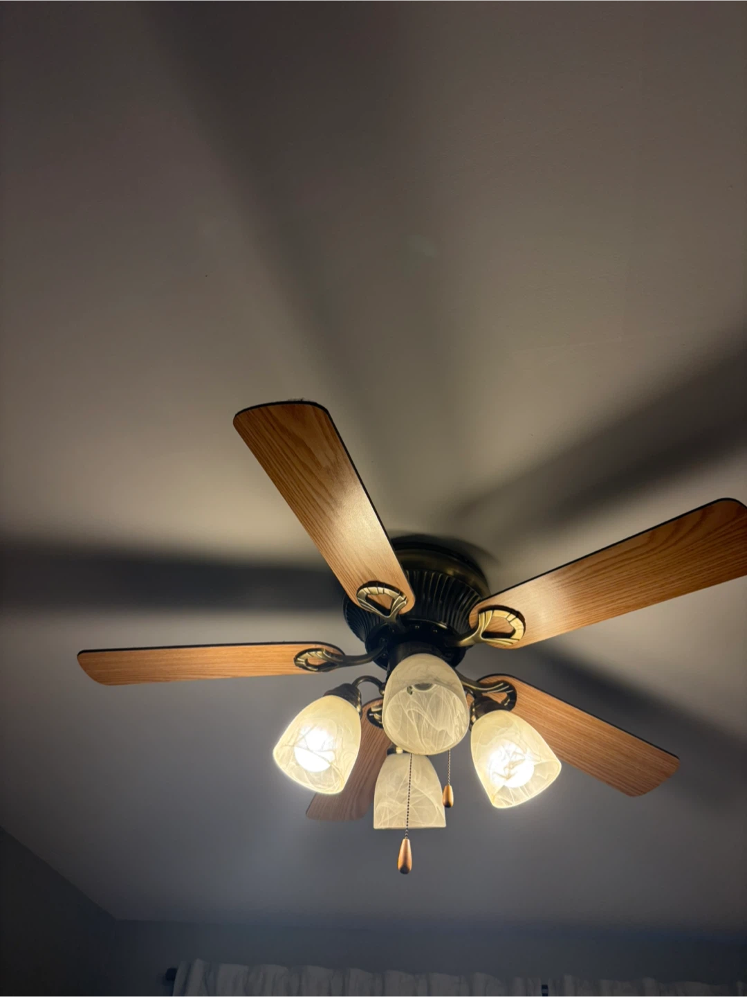 Ceiling Fan with Lights