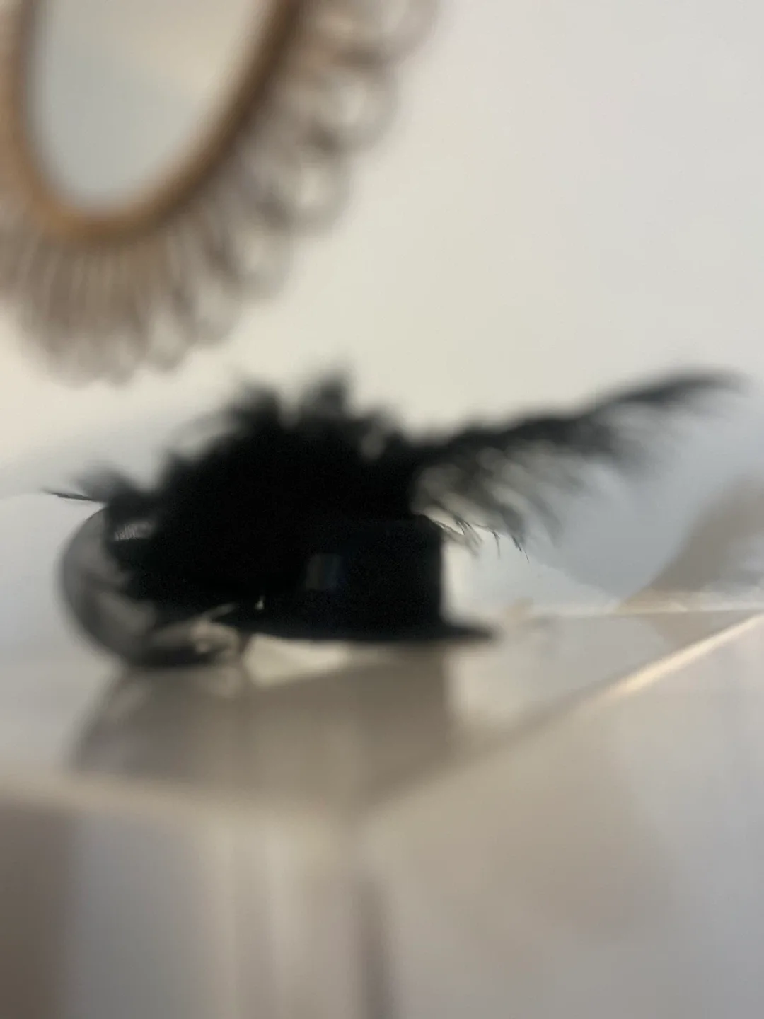 Black Feather Fascinator Hat image indicator(3)