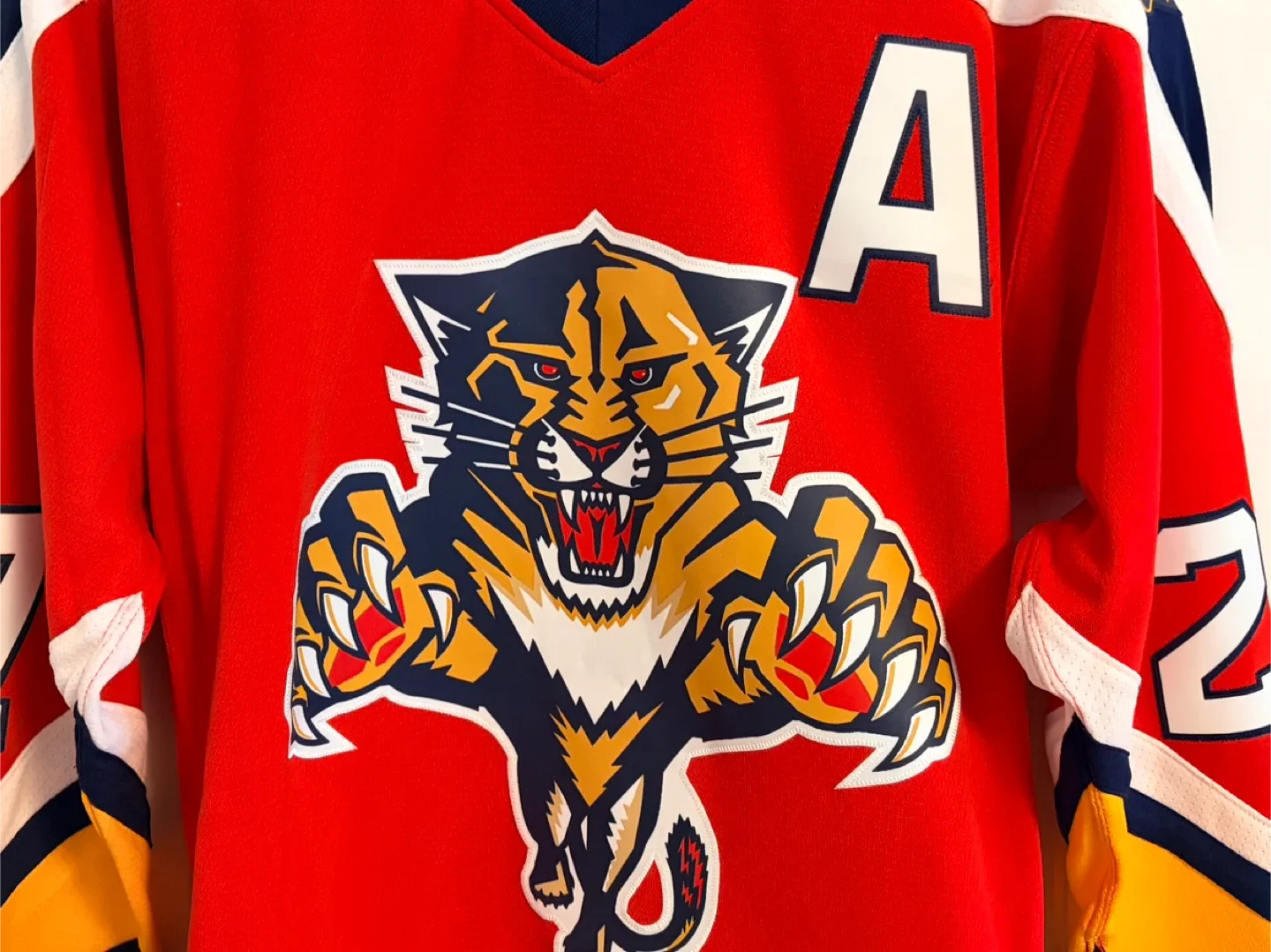 Mitchell & Ness Florida Panthers Scott Mellanby Jersey Small image indicator(4)