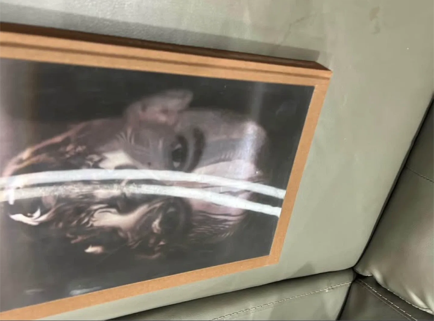 Alexander McQueen: Savage Beauty & The Rolling Stones Book image indicator(3)