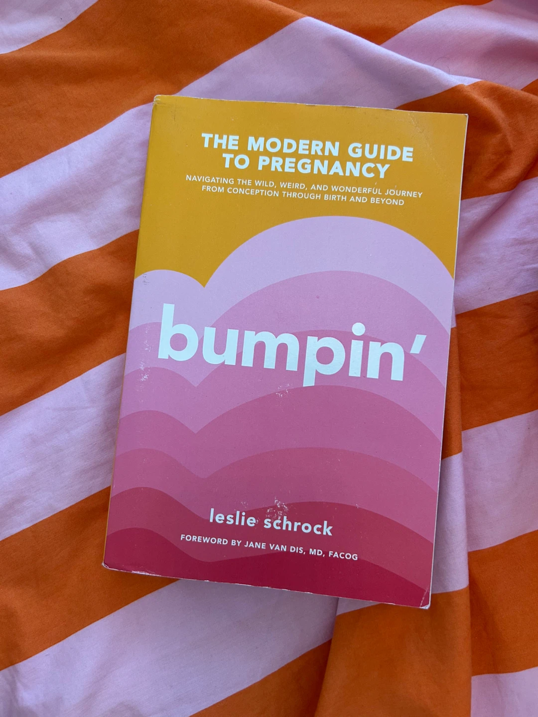 Bumpin' - The Modern Guide to Pregnancy Book