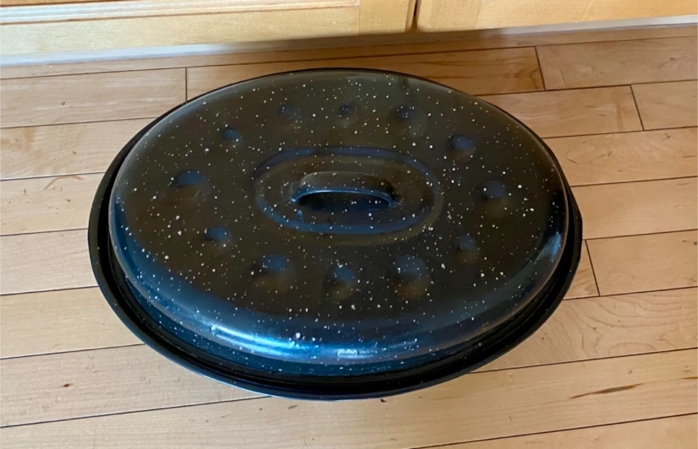 Granite Ware Oval Roaster 🧡