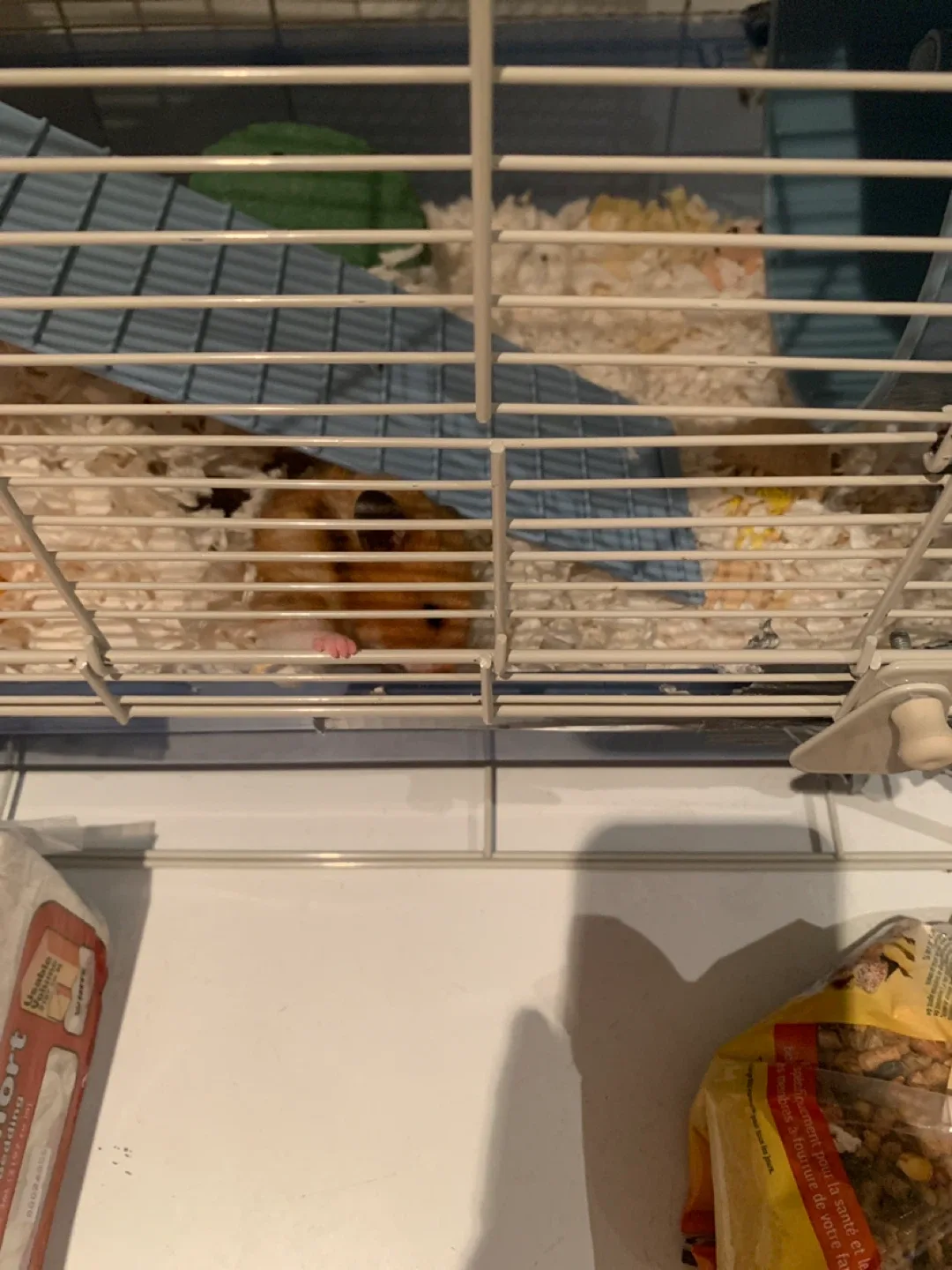 Hamster and Hamster cage with accessories, wheel, food bedding, image indicator(2)