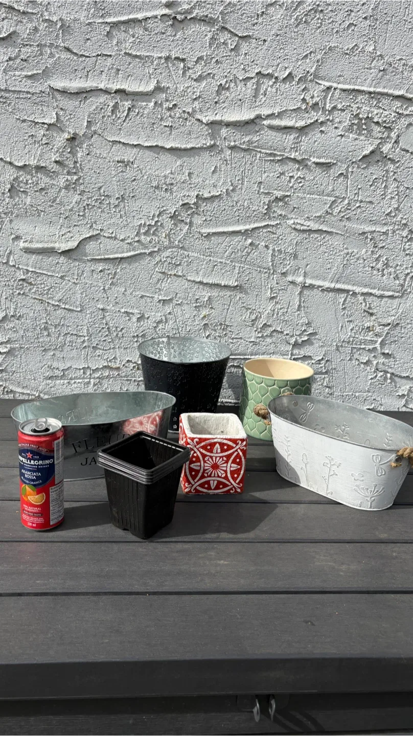 Assorted Decorative Flower Pots image indicator(2)