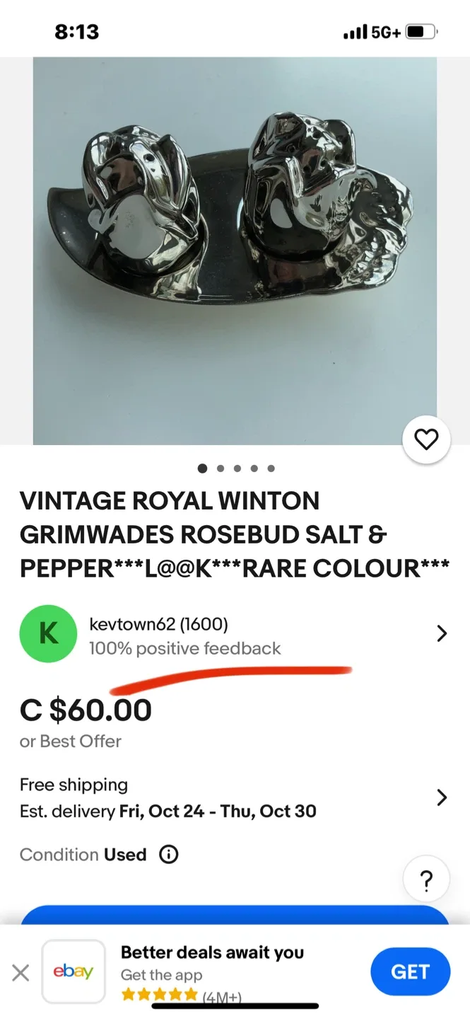 Royal Winton Salt & Pepper Set image indicator(5)