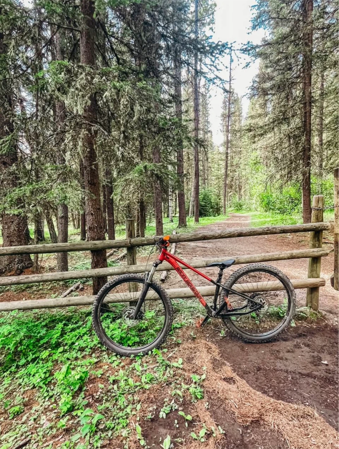 Rocky Mountain Growler 20 Mountain Bike - photo 3