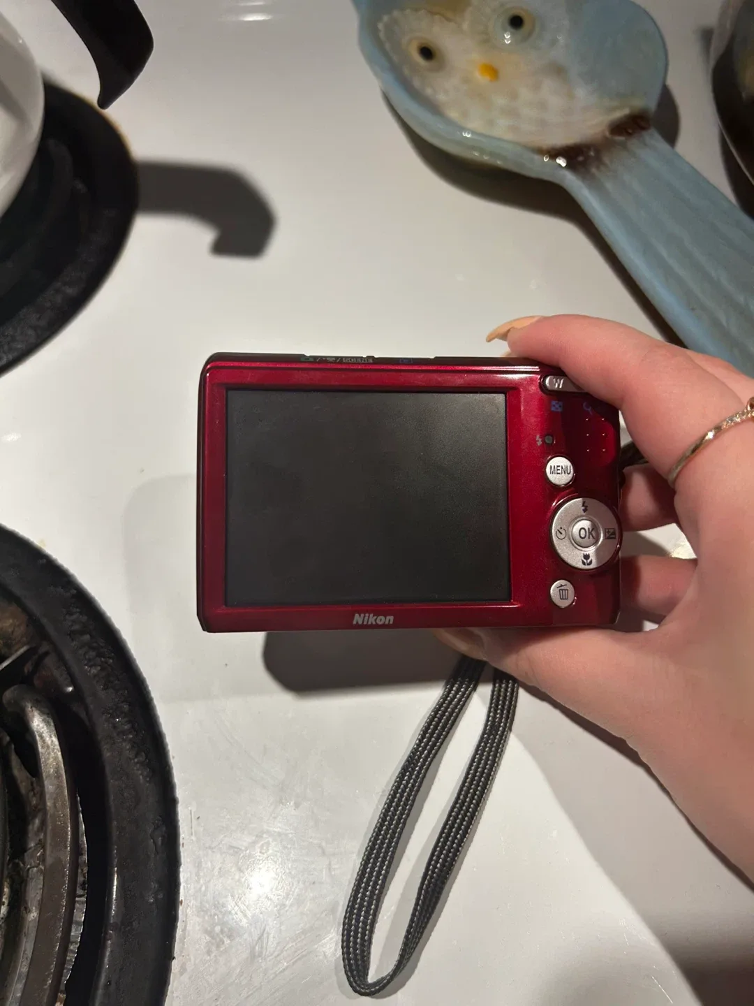 Nikon COOLPIX L20 10MP Digital Camera image indicator(2)