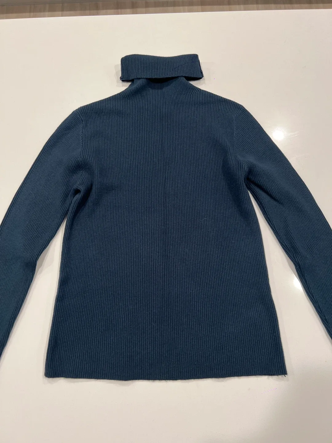 Blue Turtleneck Sweater thumbnail