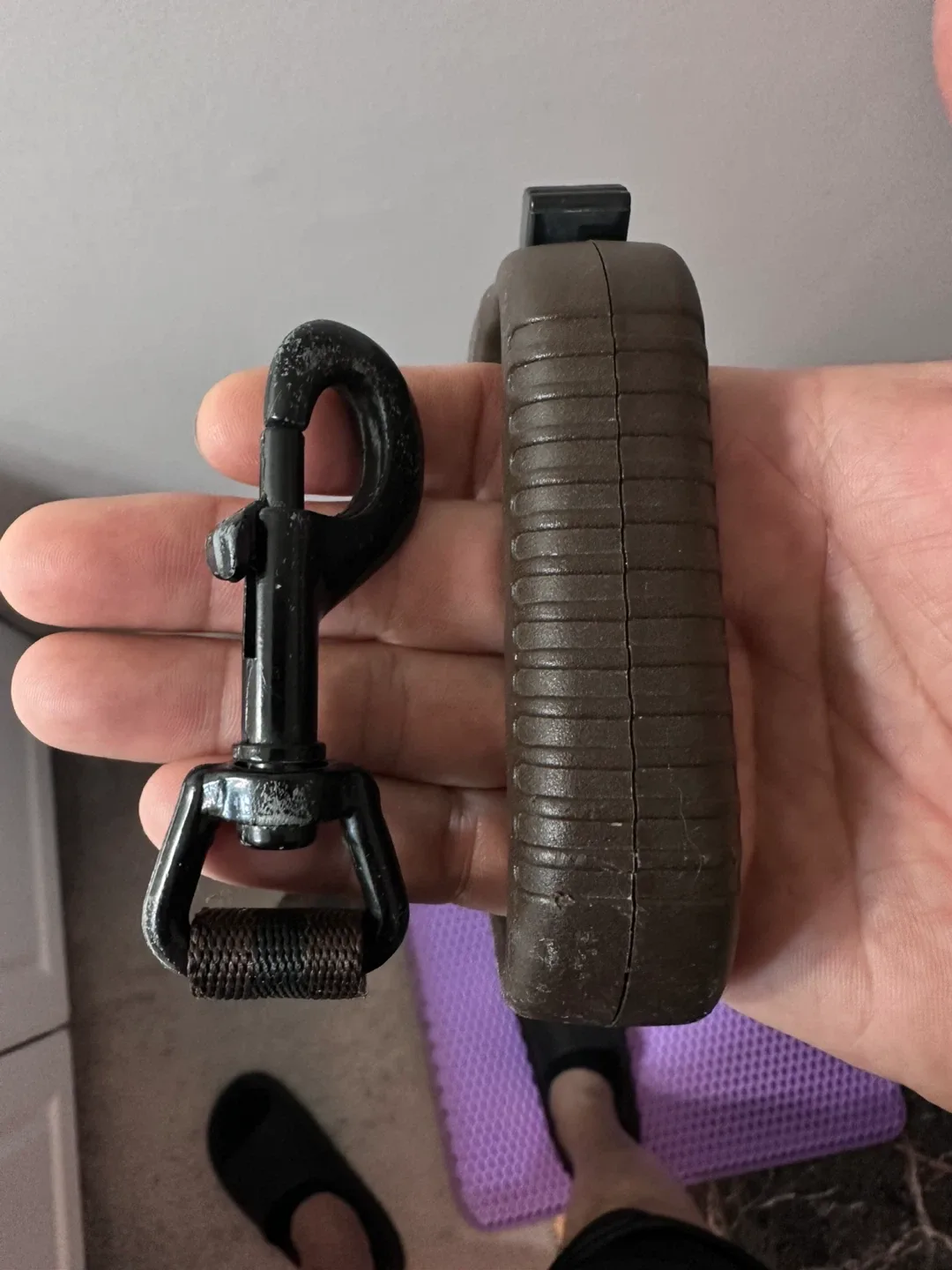 Flexi Standard Retractable Dog Leash - 5m/16ft image indicator(3)