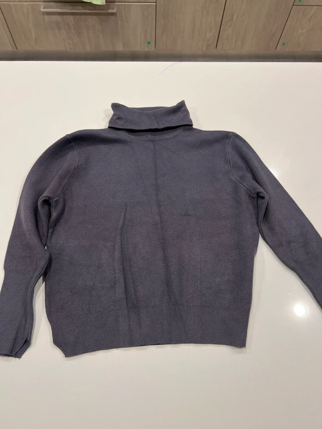 The Ladywore Turtleneck Sweater thumbnail
