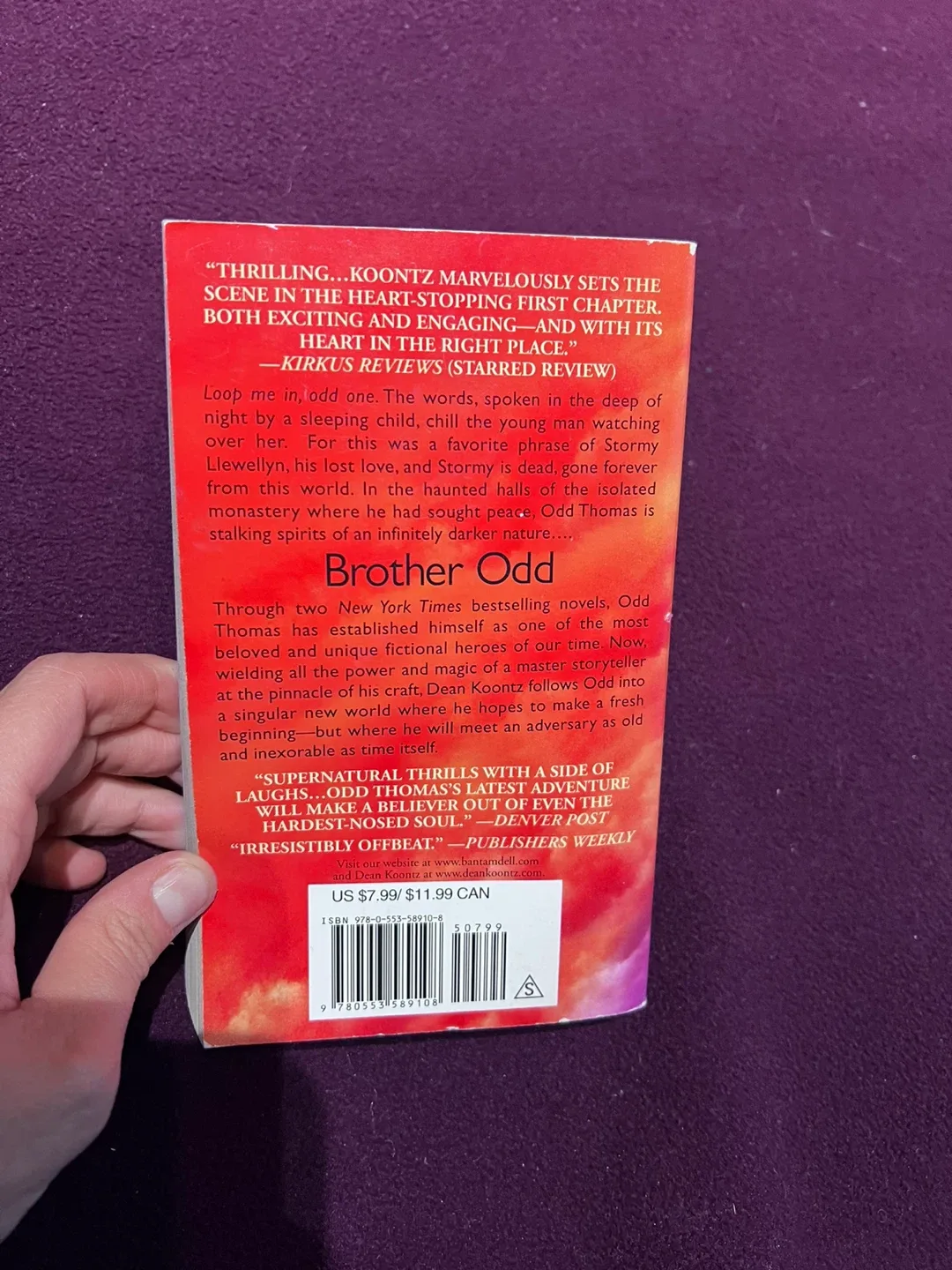 Dean Koontz Brother Odd Book image indicator(2)