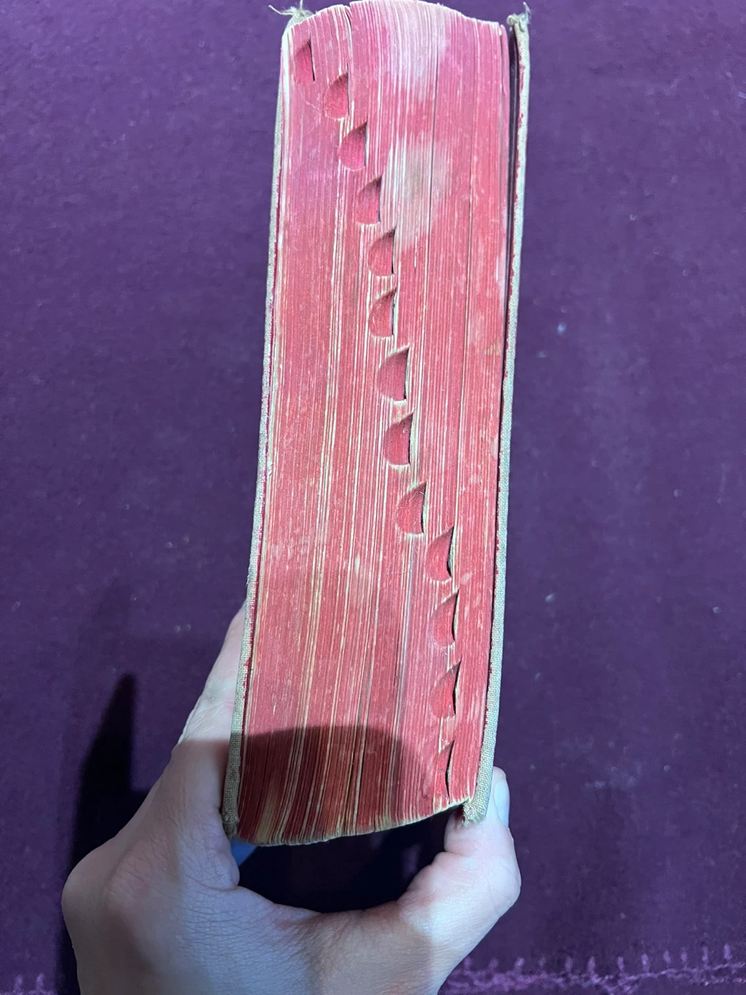 National Dictionary by Noah Webster - photo 3