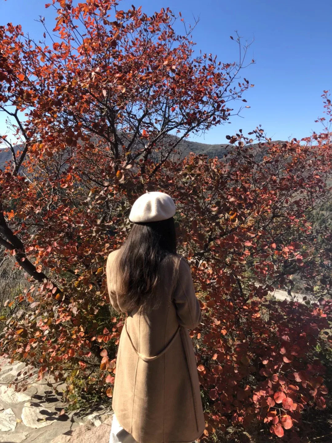 100%Wool Coat image indicator(2)