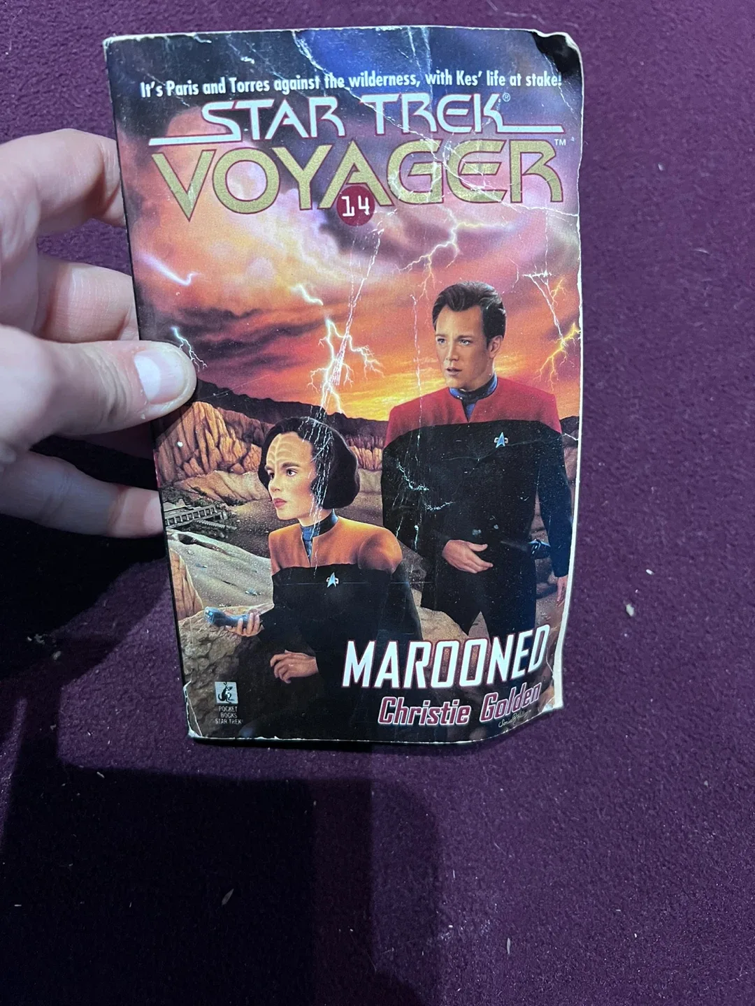 Star Trek Voyager: Marooned by Christie Golden