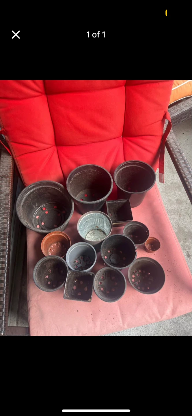 Assorted Used Plant Pots 🏆