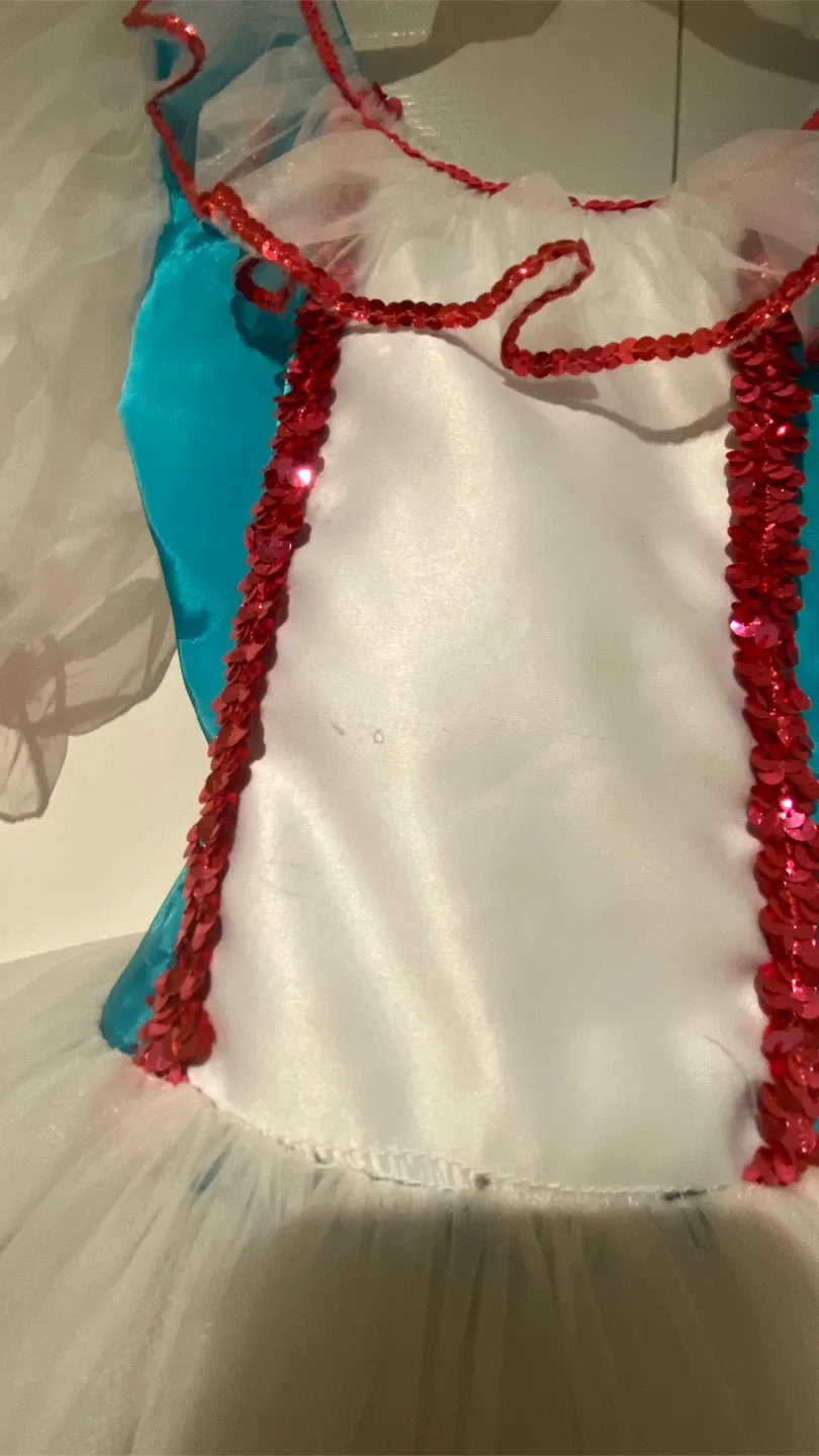 Dance/Halloween Costume - Ballerina image indicator(5)