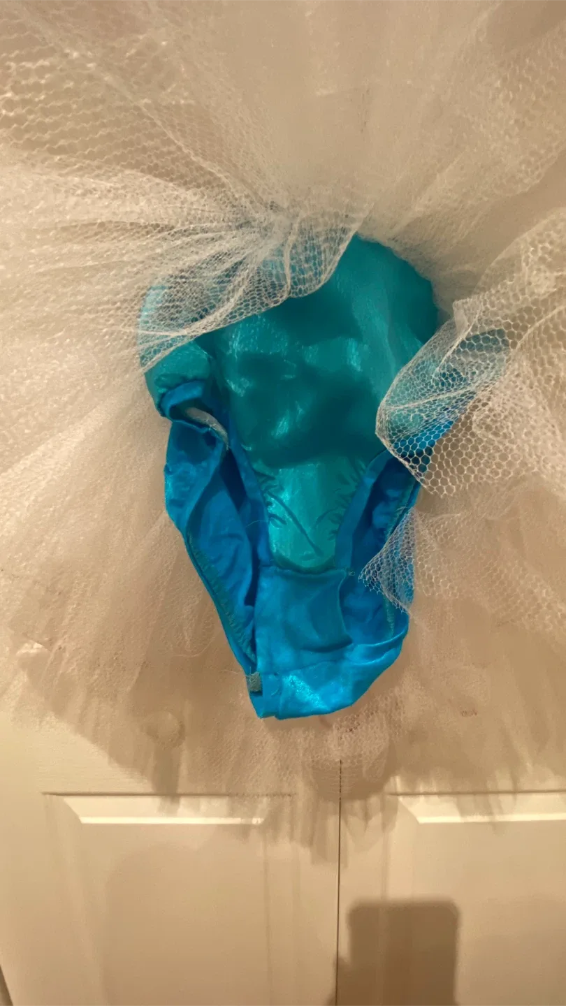 Dance/Halloween Costume - Ballerina image indicator(3)