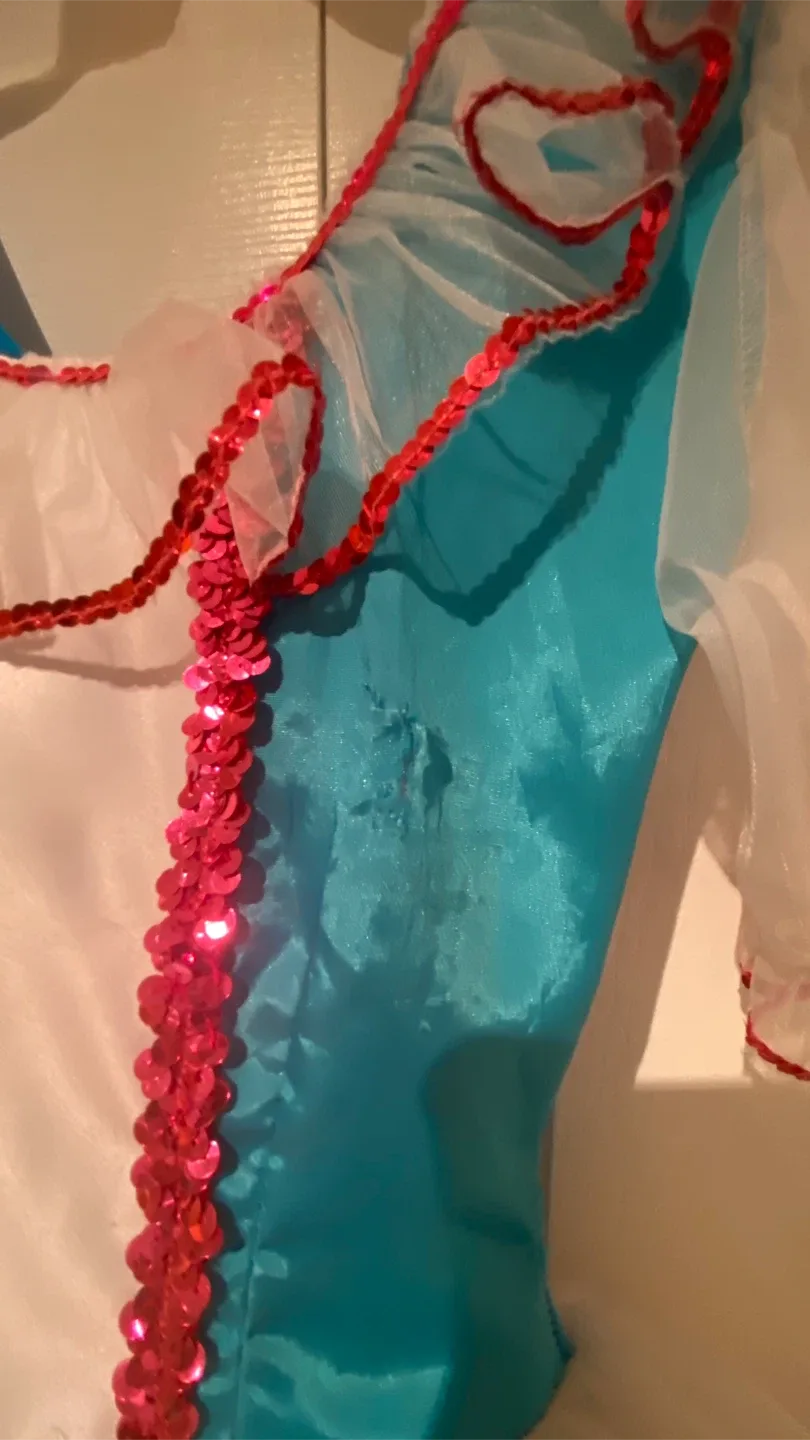 Dance/Halloween Costume - Ballerina image indicator(4)