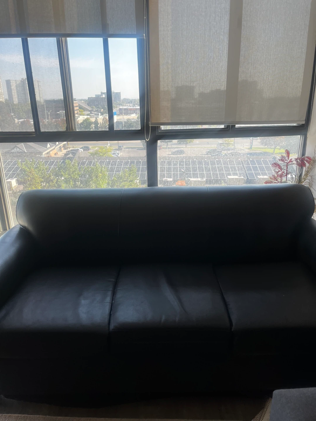 Black Leather Sofa