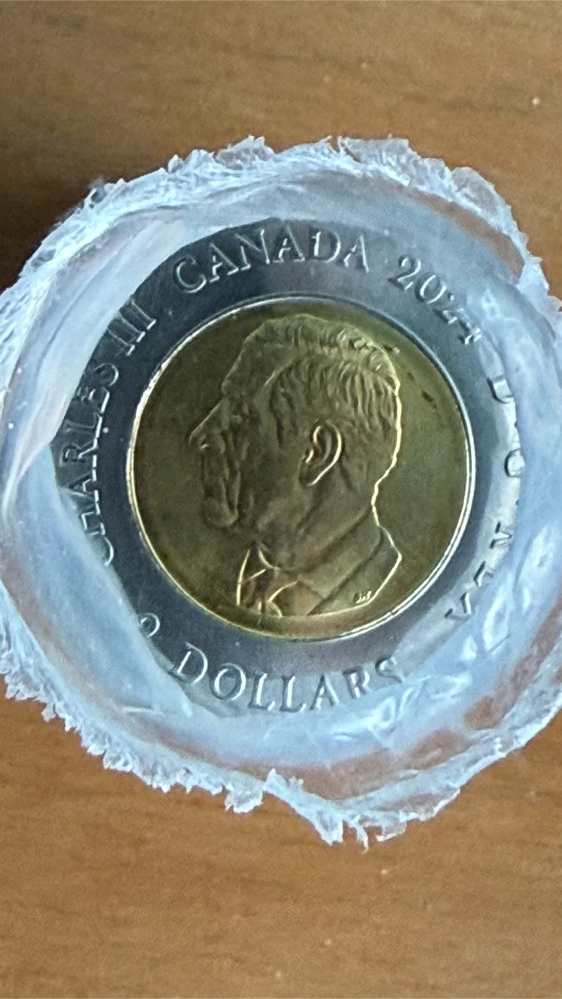 Roll of Toonies - Canada 2024 image indicator(2)