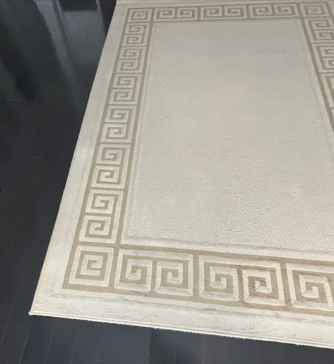 Area Rug with Greek Key Border -9.3x6.6 image indicator(5)