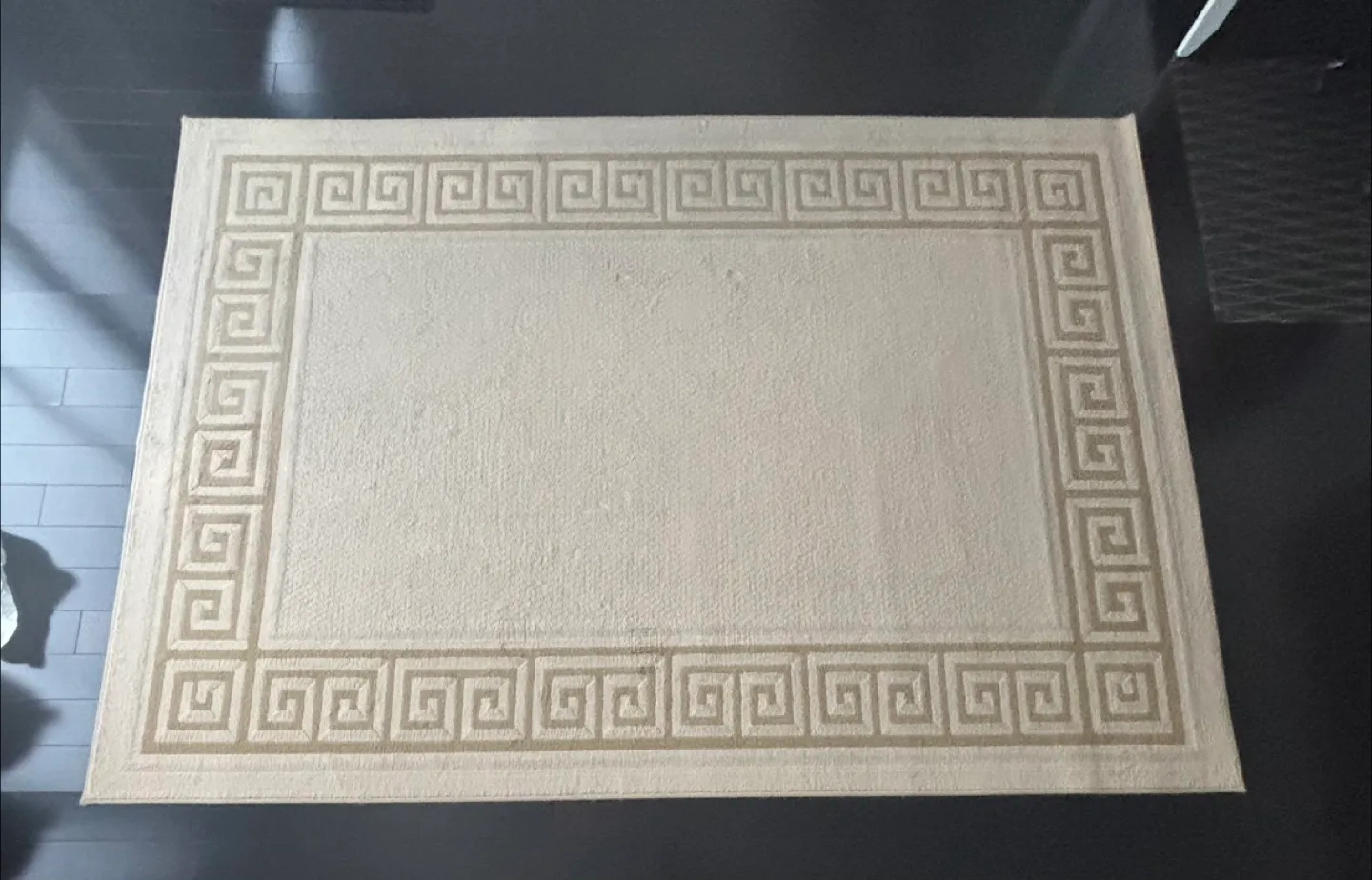 Area Rug with Greek Key Border -9.3x6.6 image indicator(4)