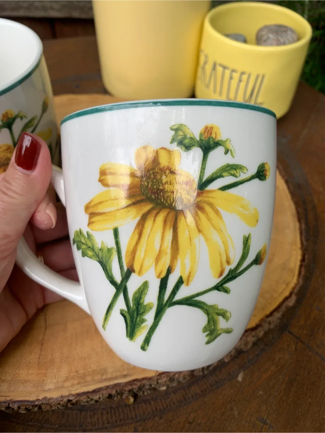 Thomson Pottery Floral Mugs image indicator(8)