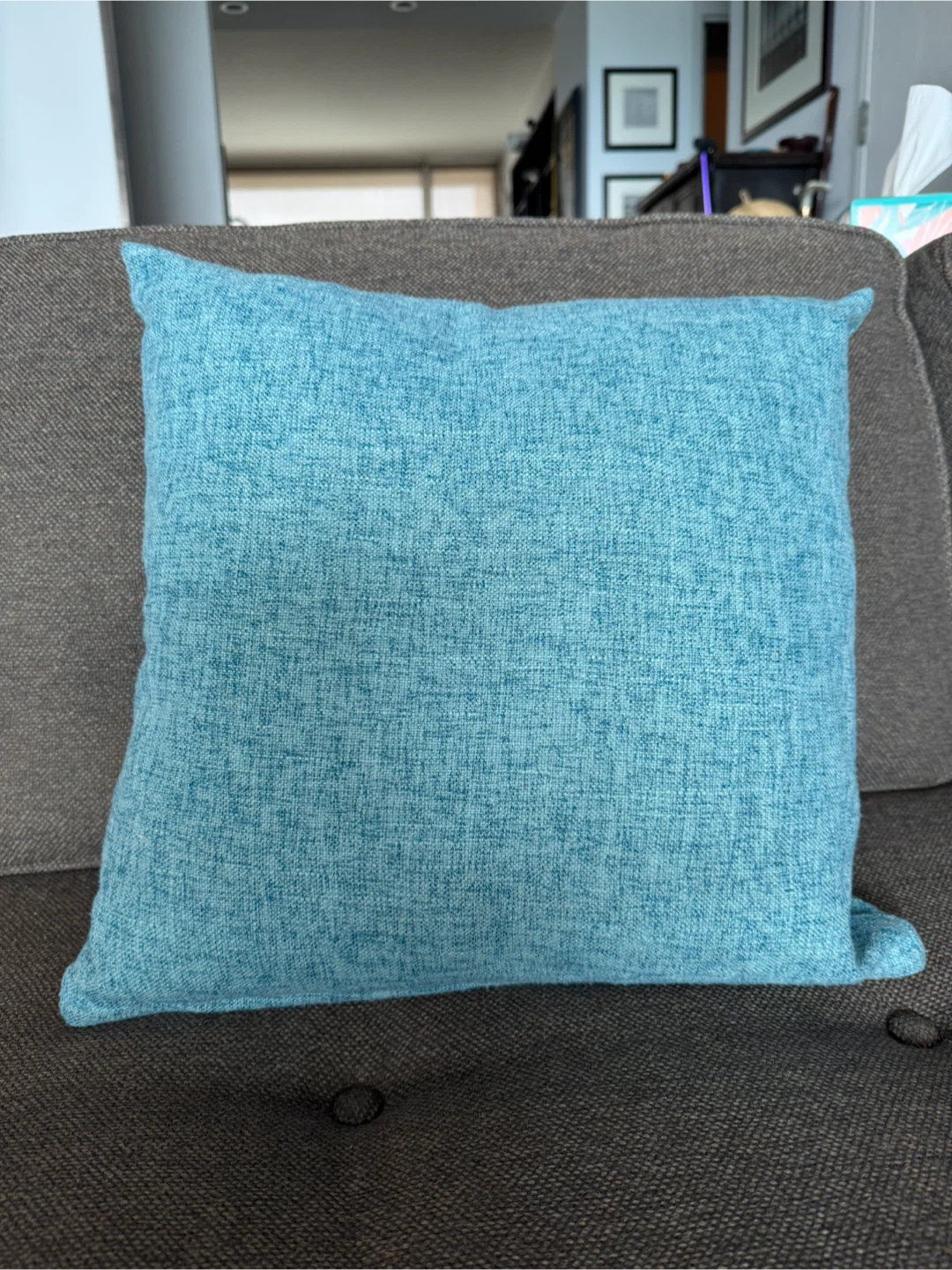 2 Blue Throw Pillows - photo 2