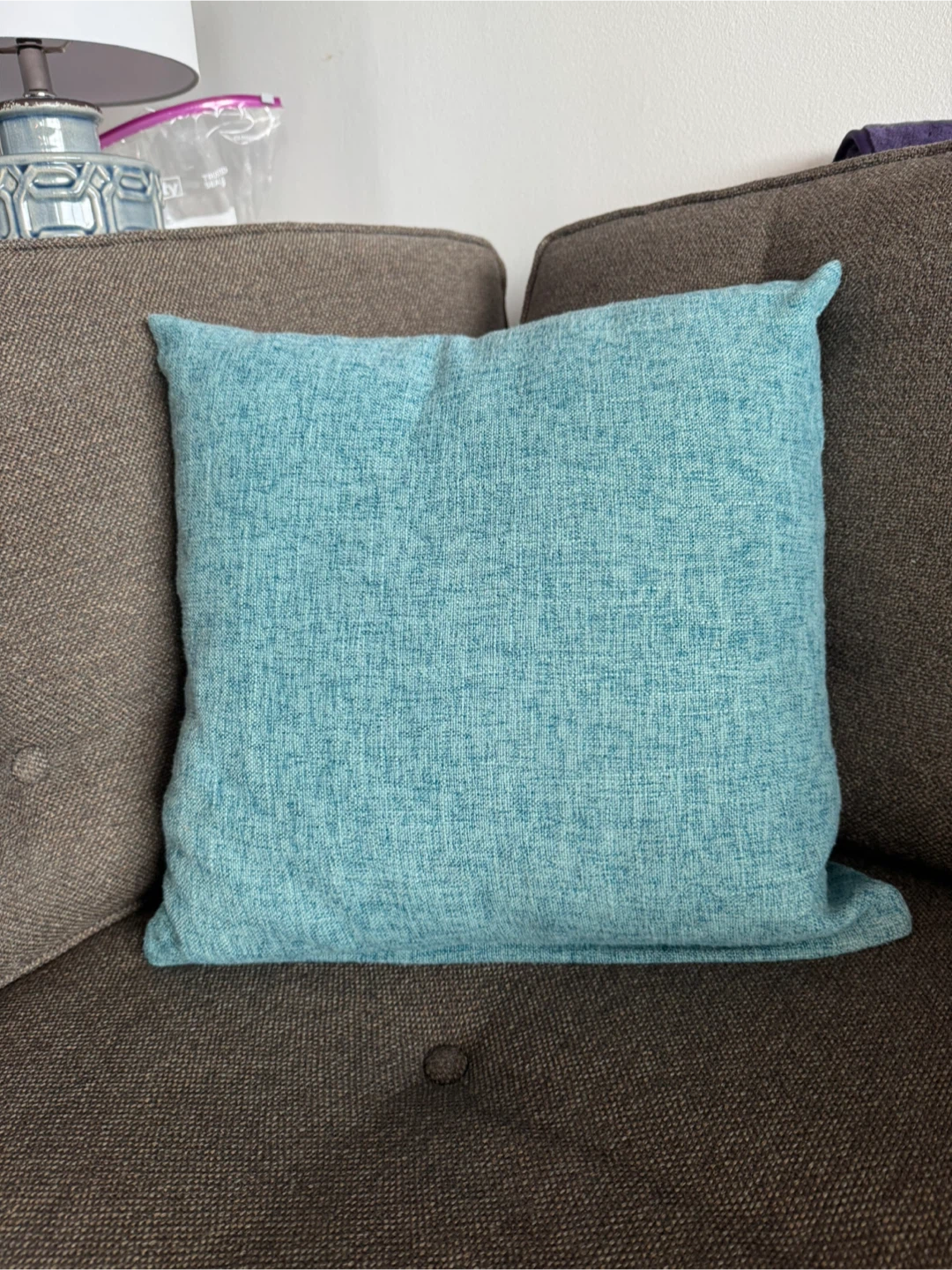 2 Blue Throw Pillows