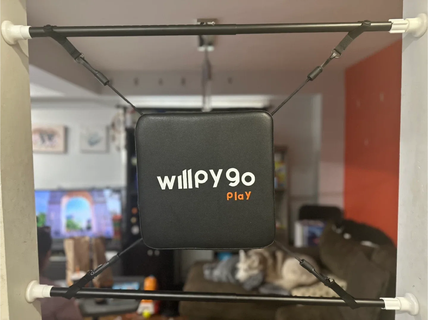 Willpy Go Play Doorway punching Bag image indicator(2)