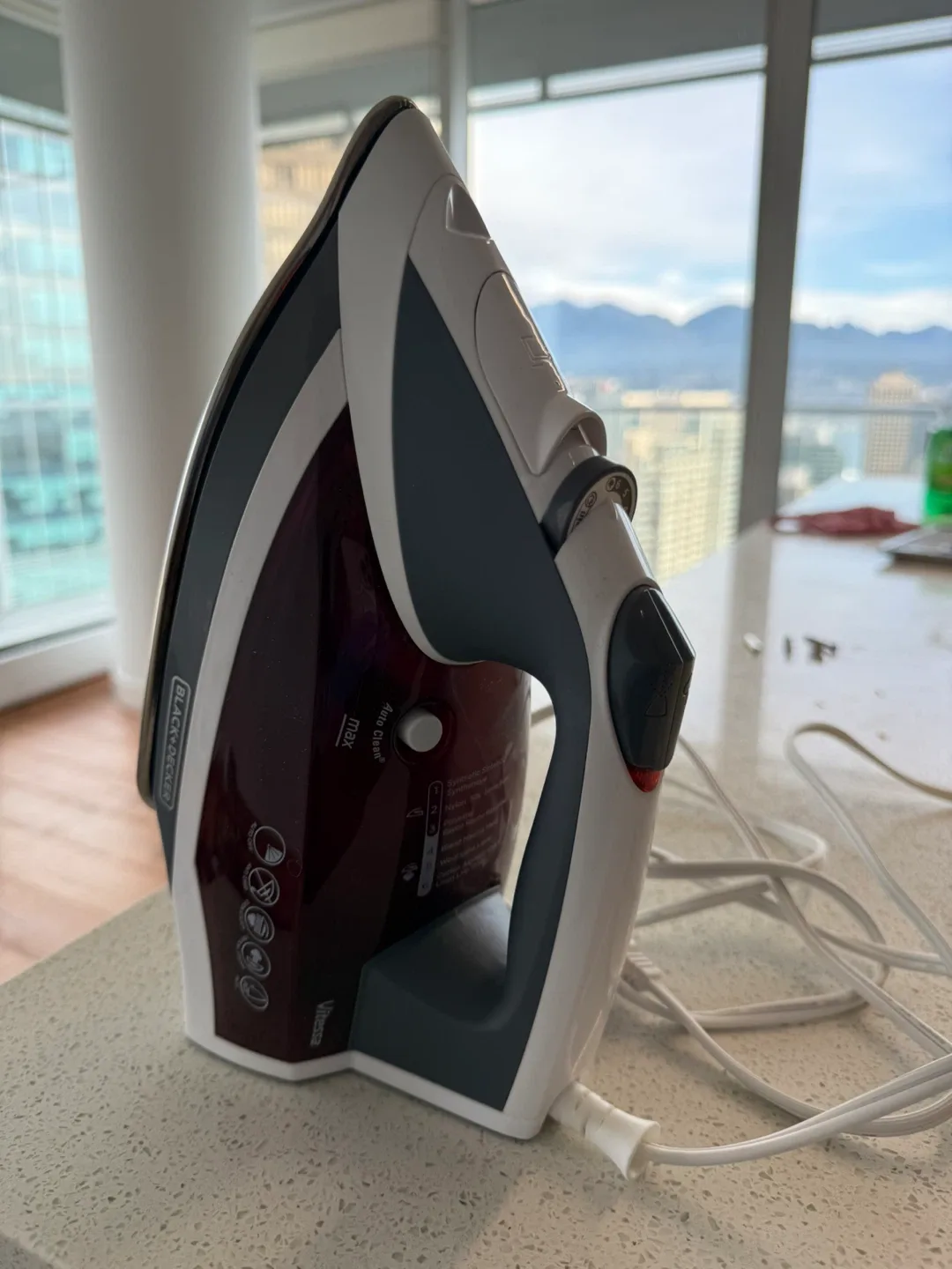 Steam Iron