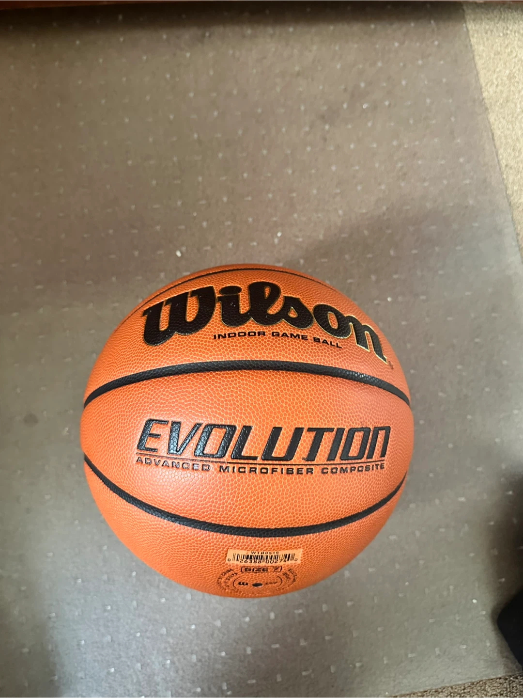 Wilson Evolution Indoor size 7