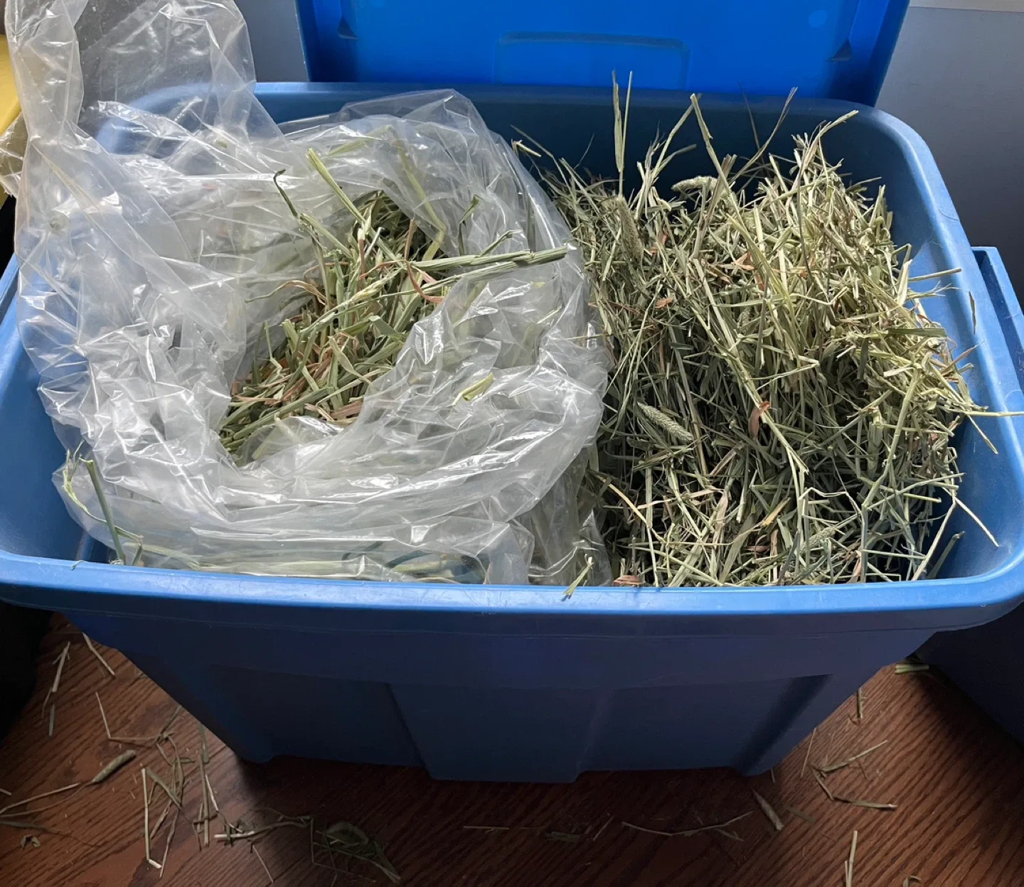 Oxbow Timothy hay (NEW) + Oat hay + storage bin image indicator(2)