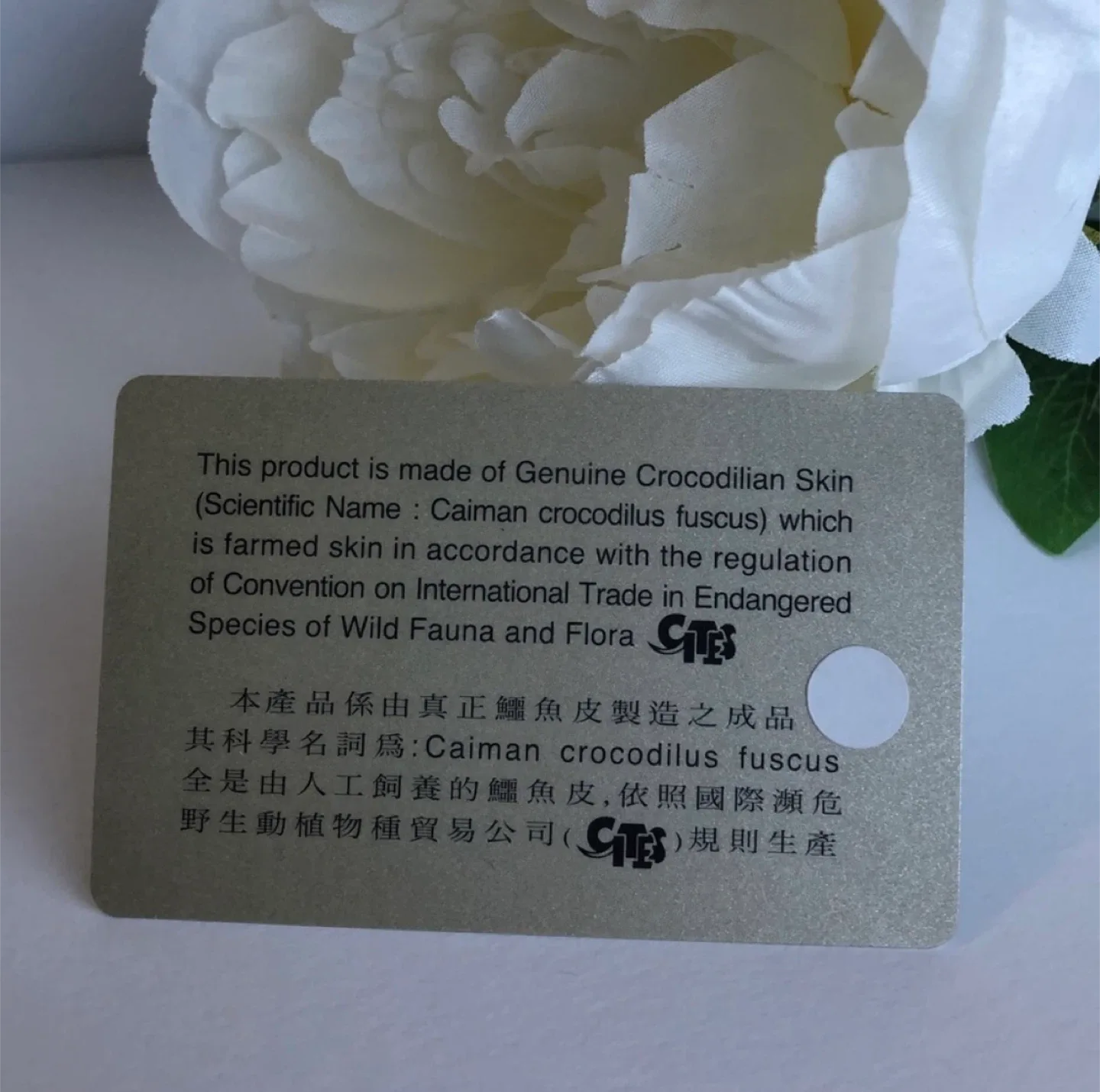 River genuine 🐊 skin wallet image indicator(10)