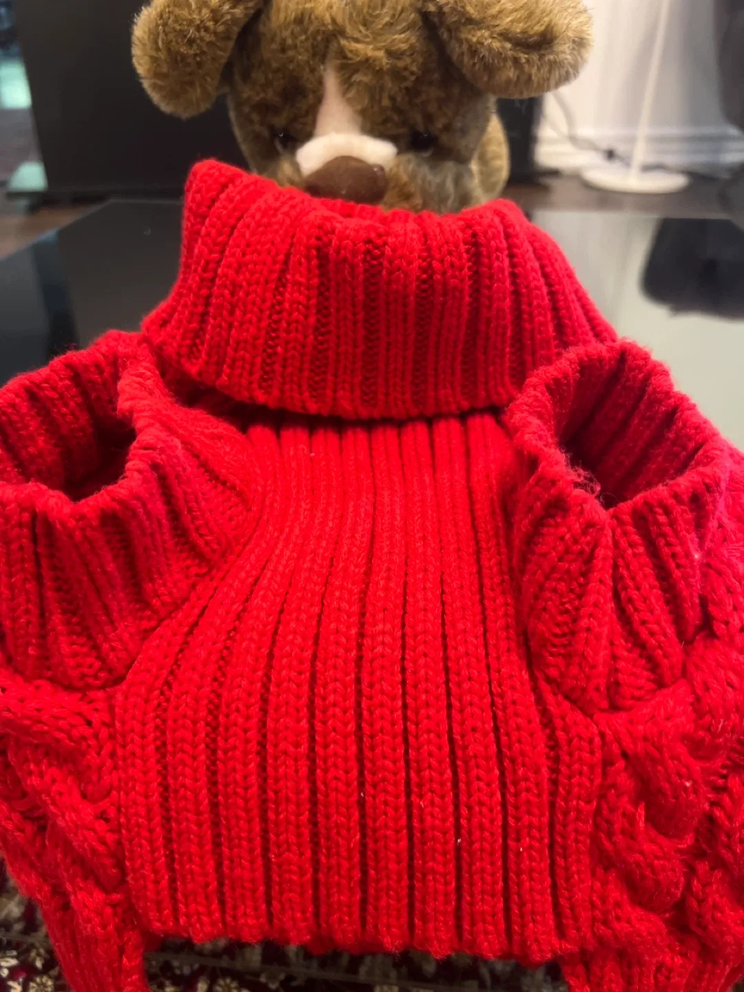 Red Dog Sweater - Size M image indicator(5)