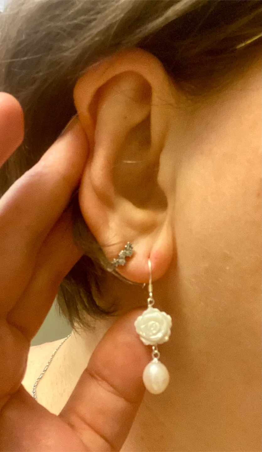 925 Sterling Silver Earrings image indicator(2)