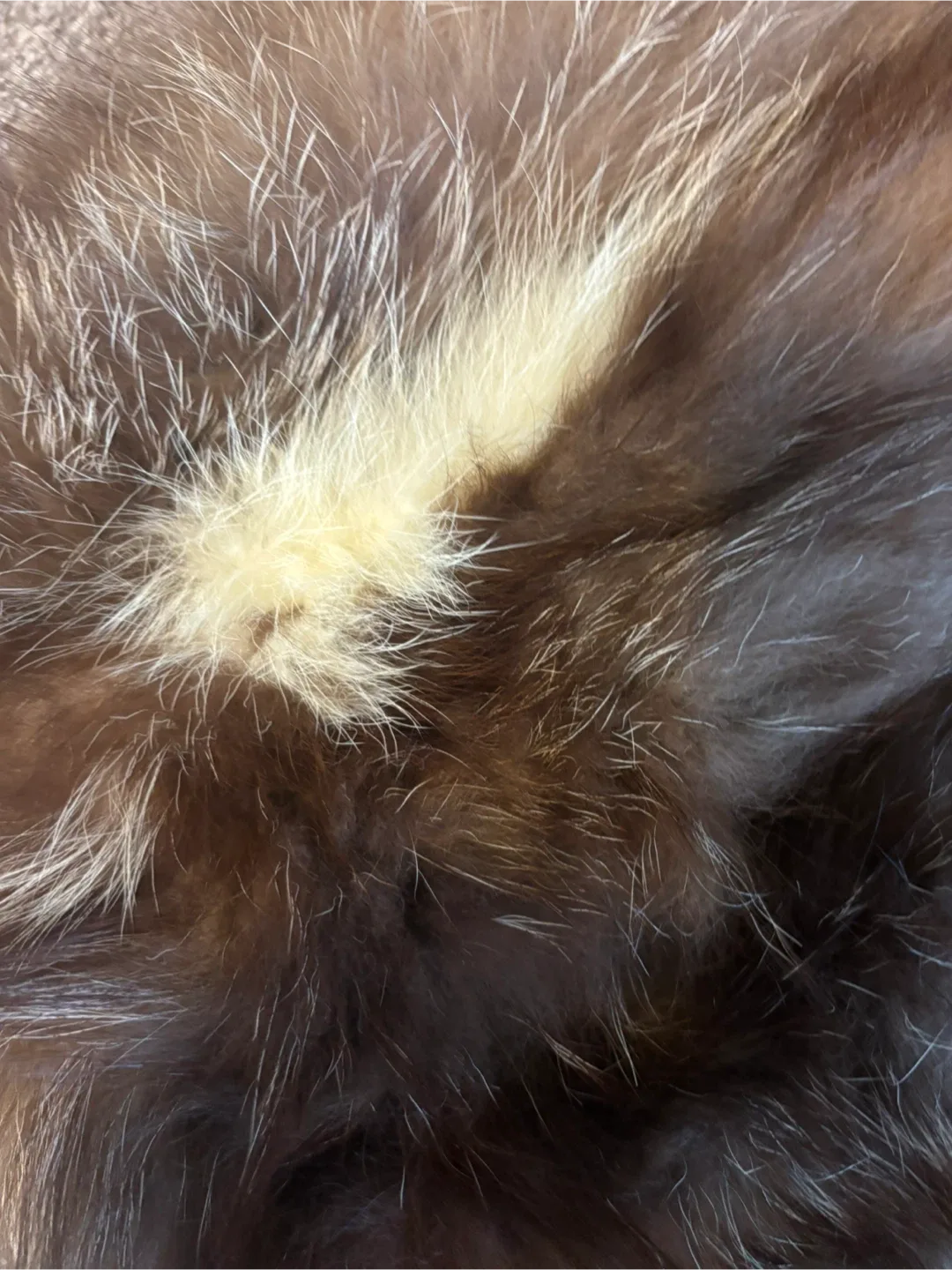 Vintage fur muff ( hand warmer) image indicator(6)