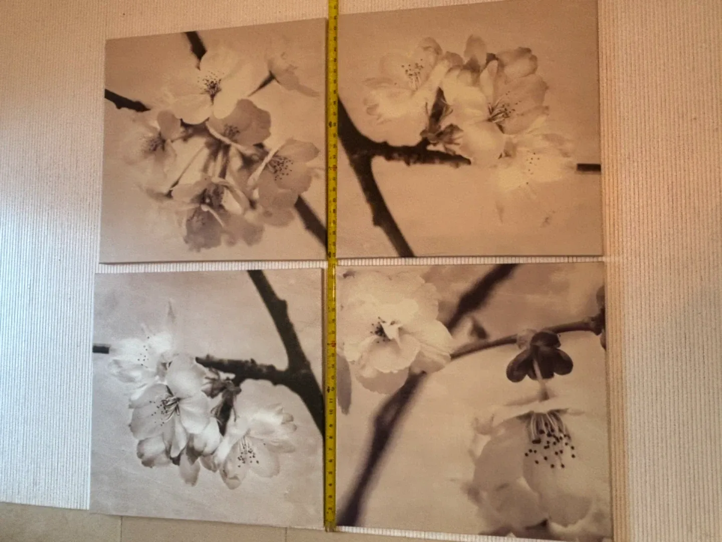 4 large photo art prints-cherry blossoms black & white image indicator(2)