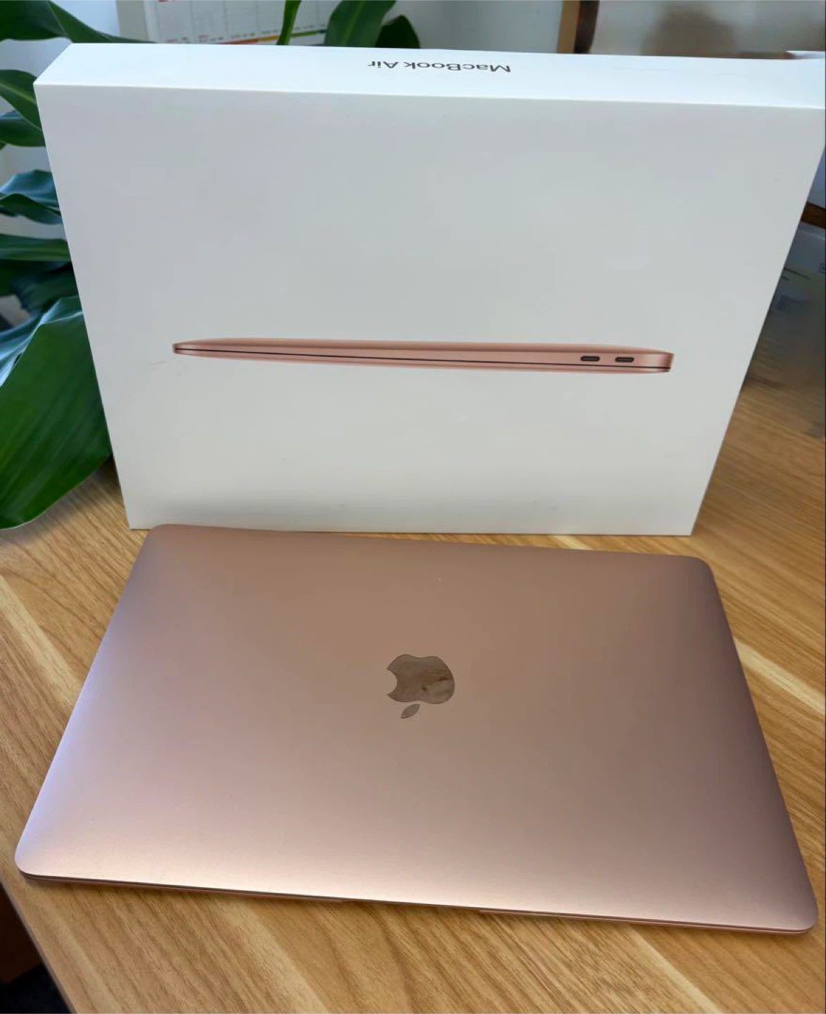 Apple MacBook Air 13inch - Rose Gold